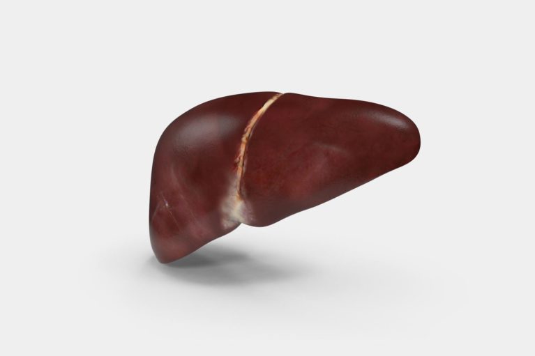 Liver